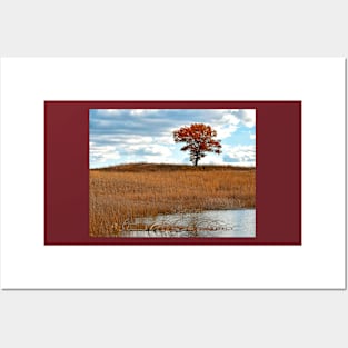 Solitary Tree Posters and Art